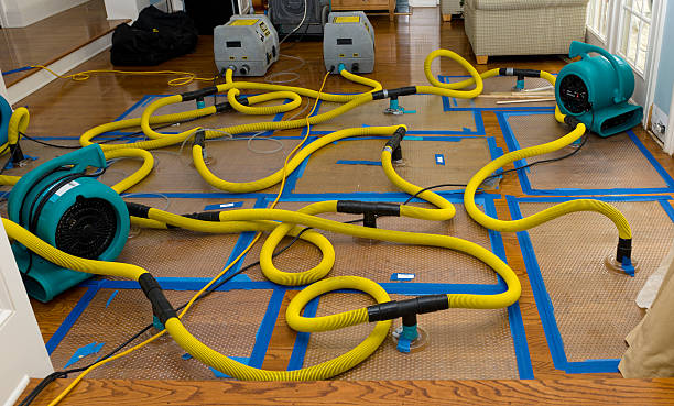Professional Basement Flood Cleanup technician working in Cloquet, MN